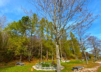 Duftgarten am Panoramaweg in Oy-Mittelberg