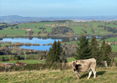 Aussicht Oy-Mittelberg Panoramaweg