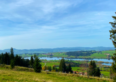 Seeblick auf dem Panoramaweg in Oy-Mittelberg