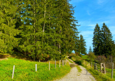 Panoramaweg Oy-Mittelberg 4