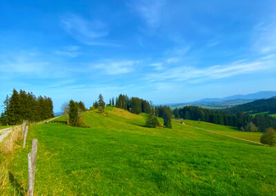 Wiese am Panoramaweg in Oy-Mittelberg ohne Kühe