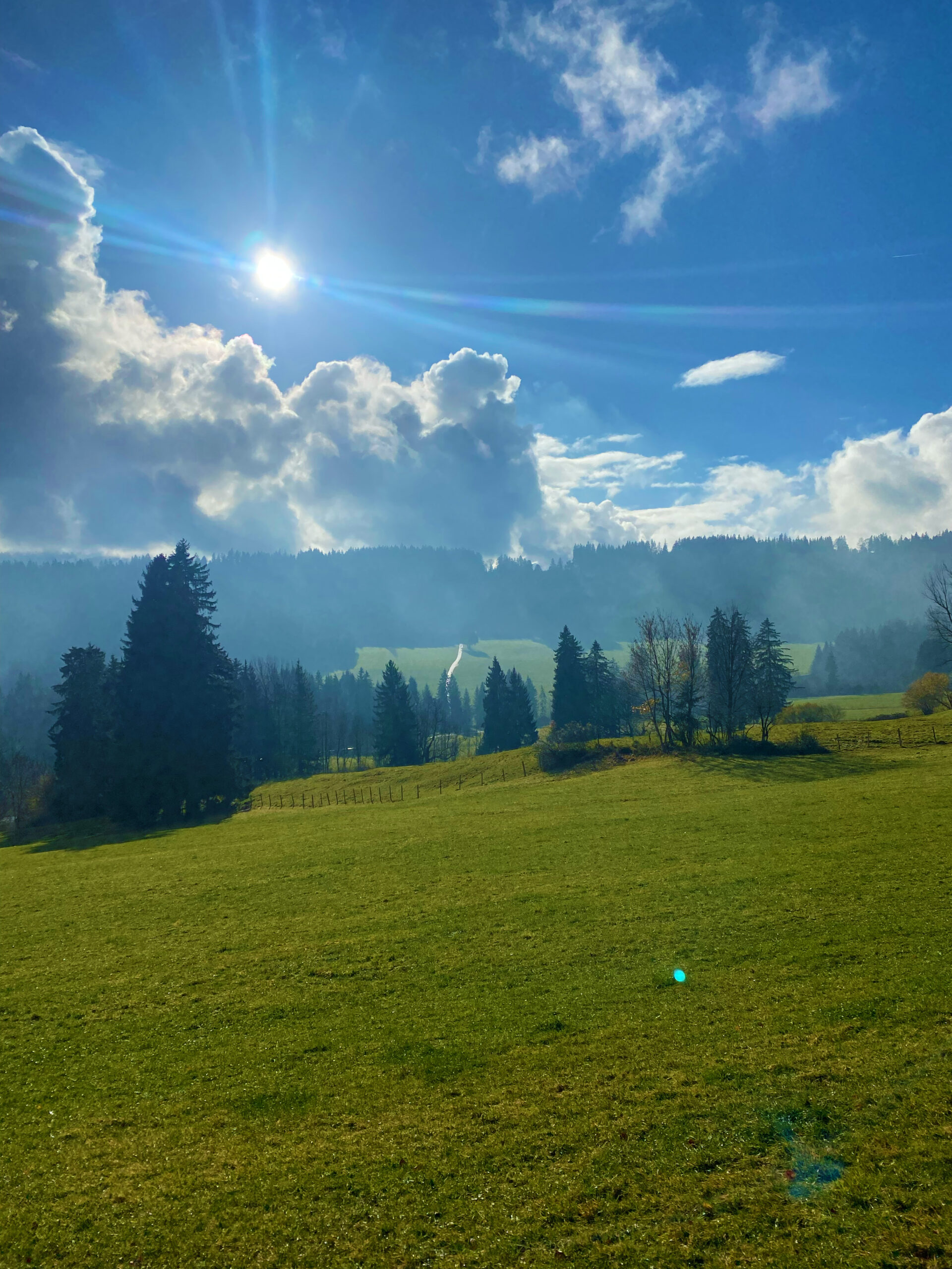 Ausblick auf die Alpen am Panoramaweg Oy-Mittelberg